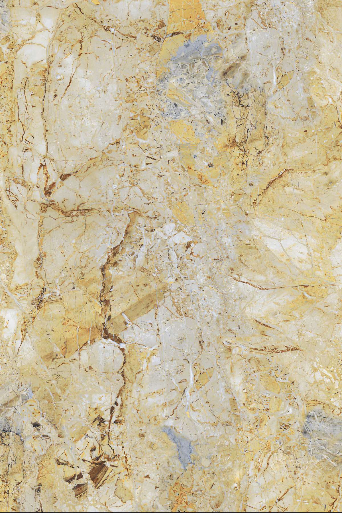 Breccia Absolute