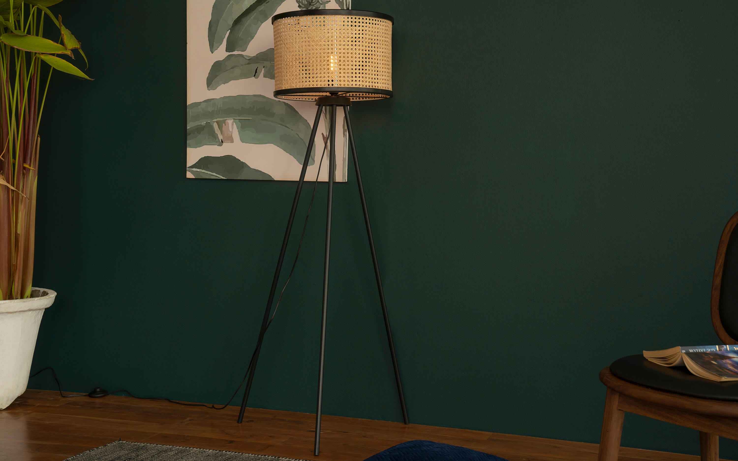 New Canna Black Floor Lamp