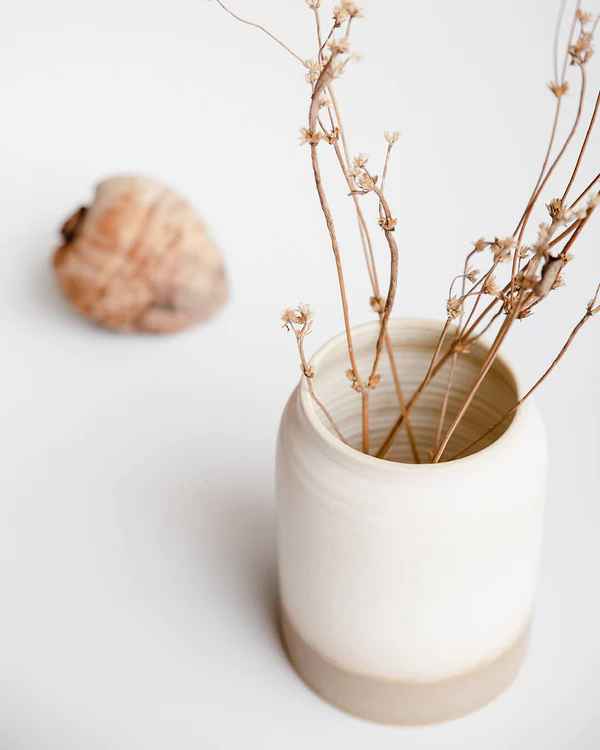 Cosmos White Ceramic Vase