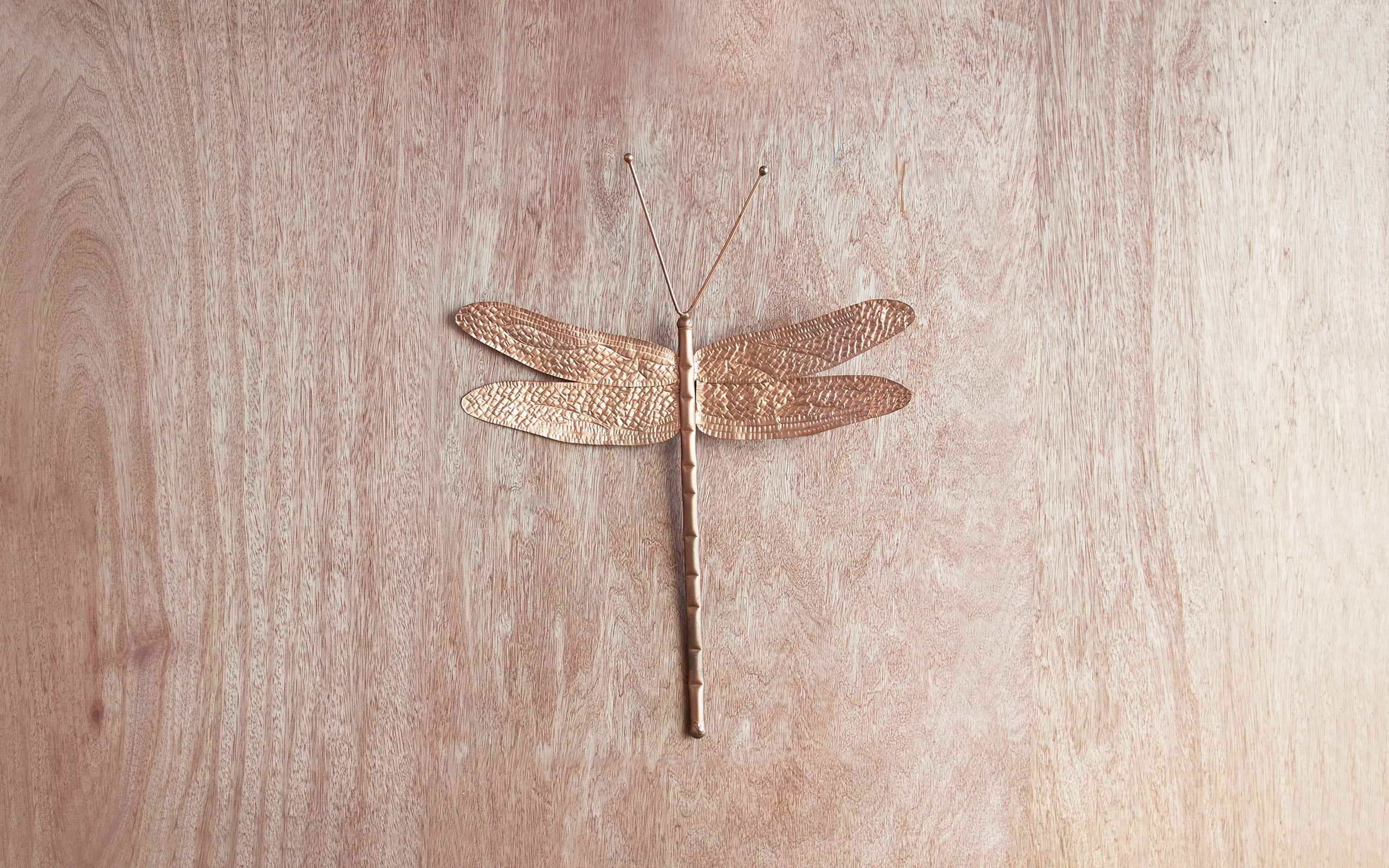 Dragonfly Wall Decor Copper