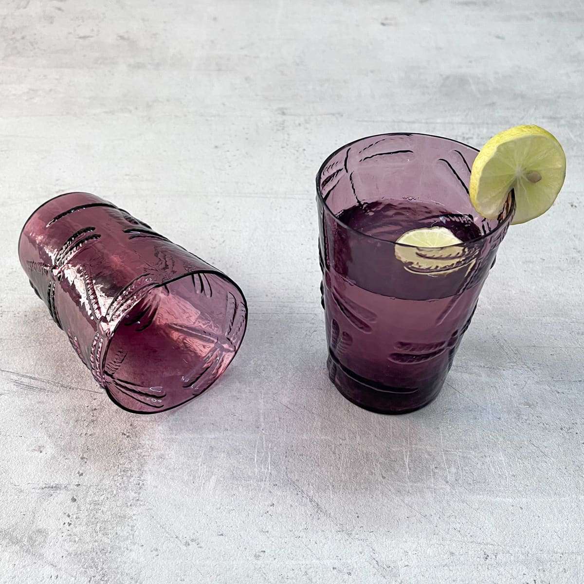 Evren Plum Dragonfly Drinking Glass (Set of 2)