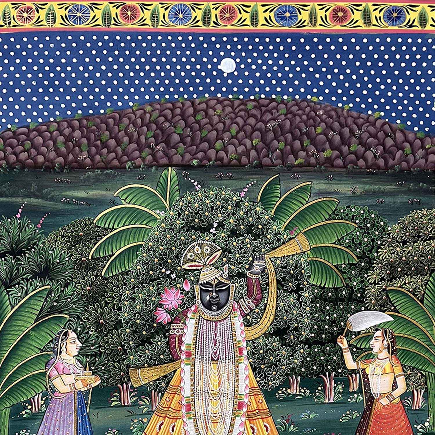 Shrinathji Devotees & Peacocks