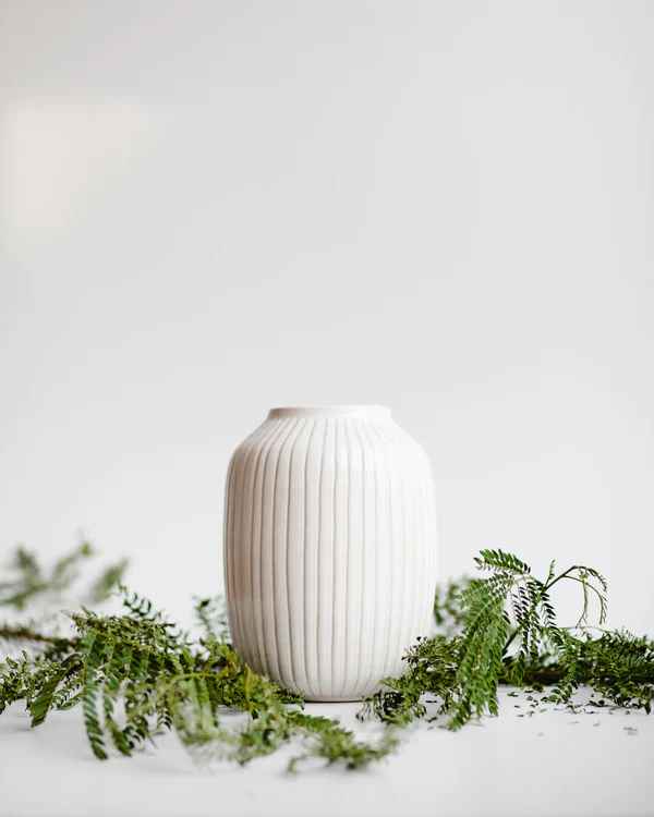 Cosmos White Ceramic Vase