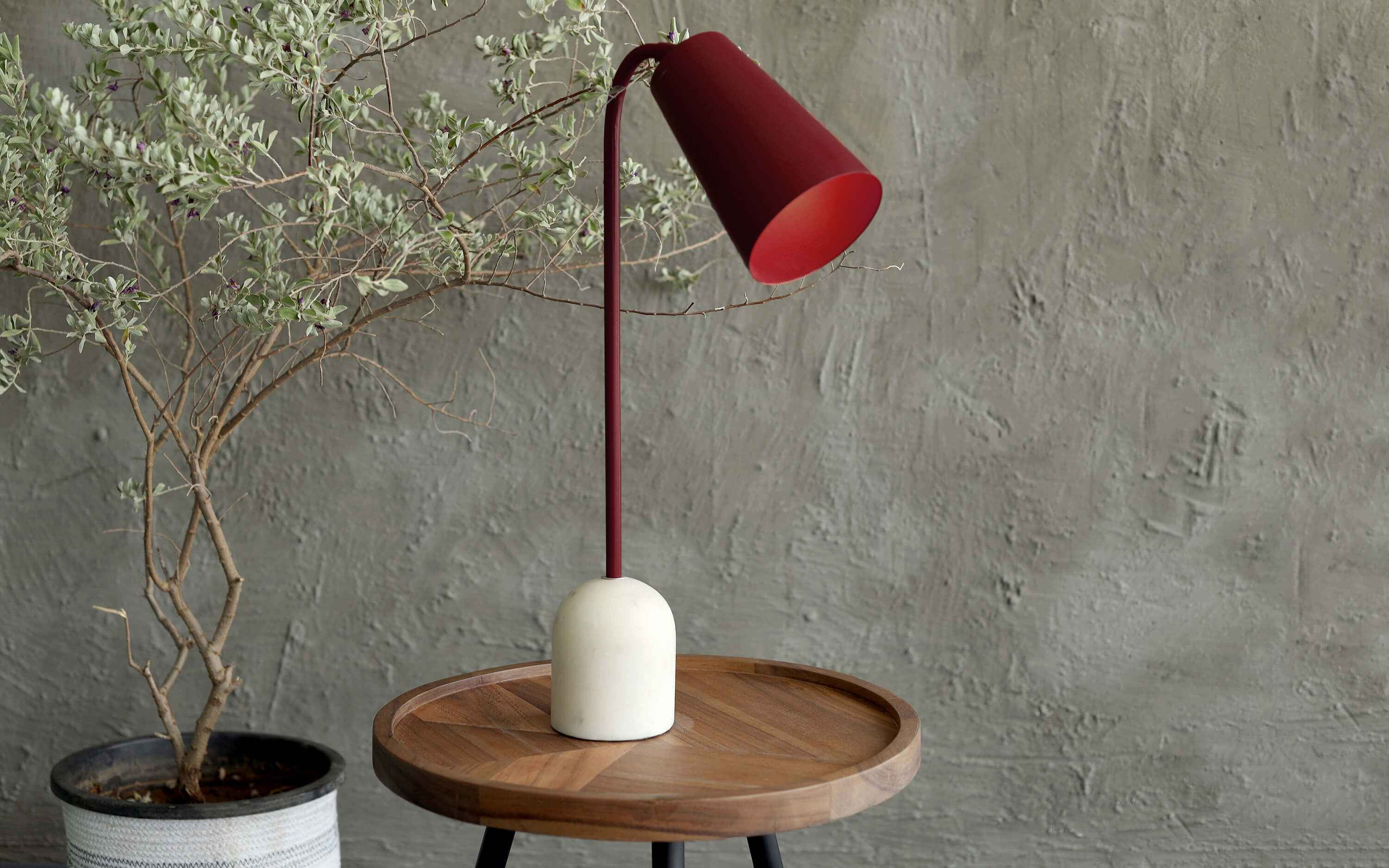 Cusp Study Table Lamp