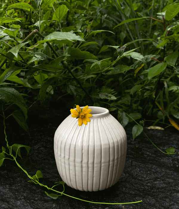 Ceramic Donut Vase