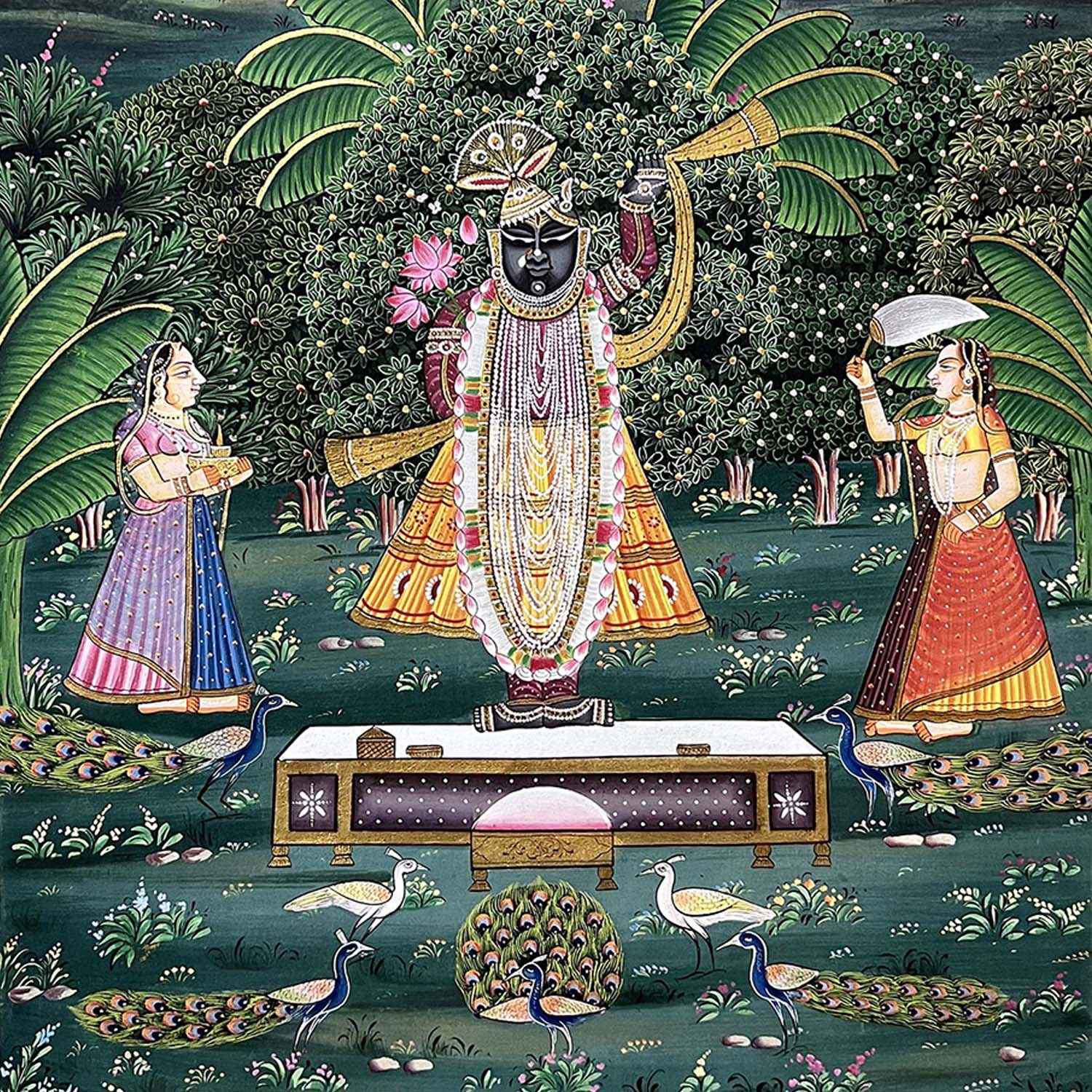 Shrinathji Devotees & Peacocks