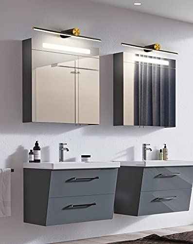 12W Mirror Vanity Picture Lamp